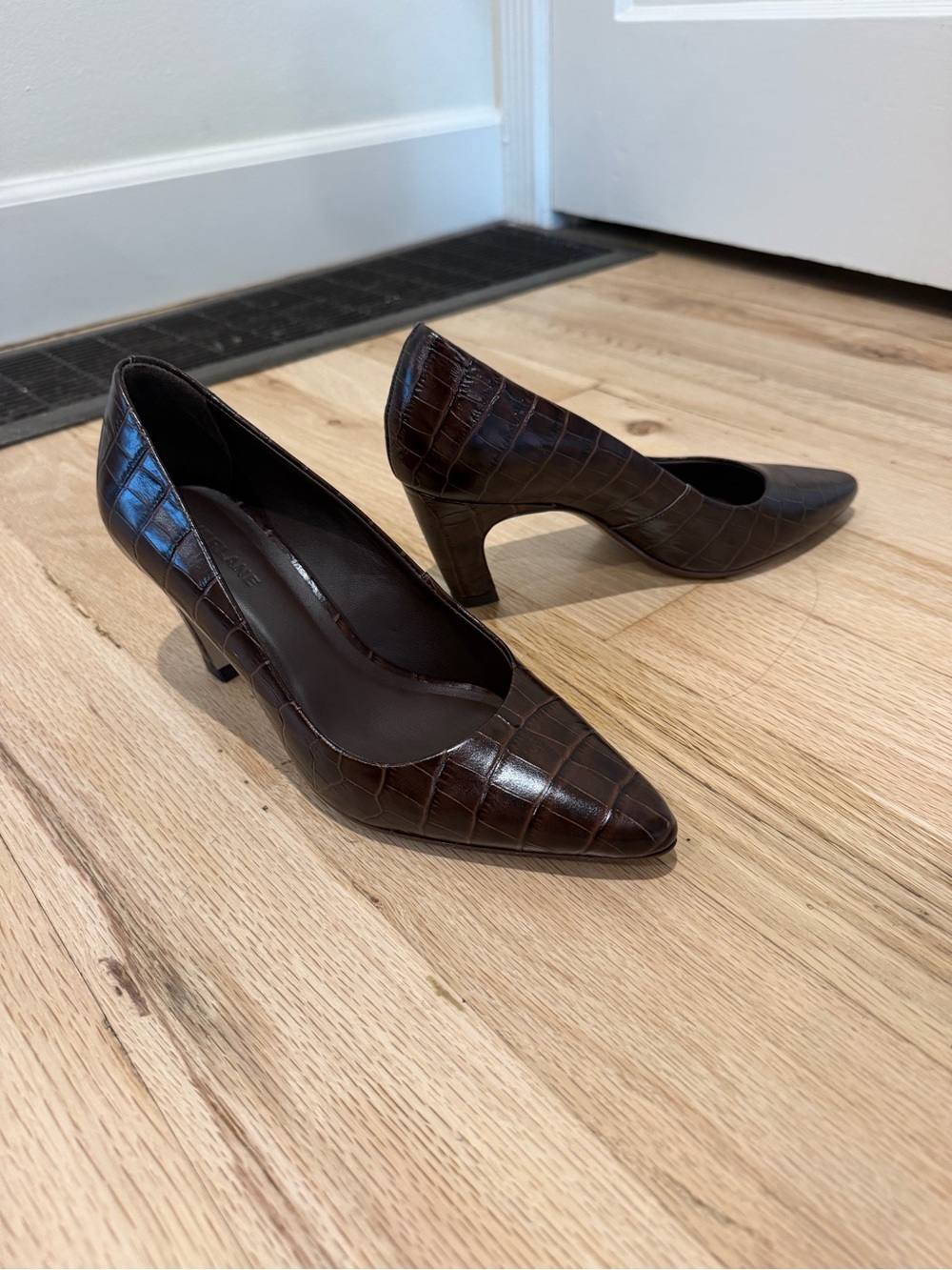 Women's Pointed Toe Croc-Embossed Brown Pumps